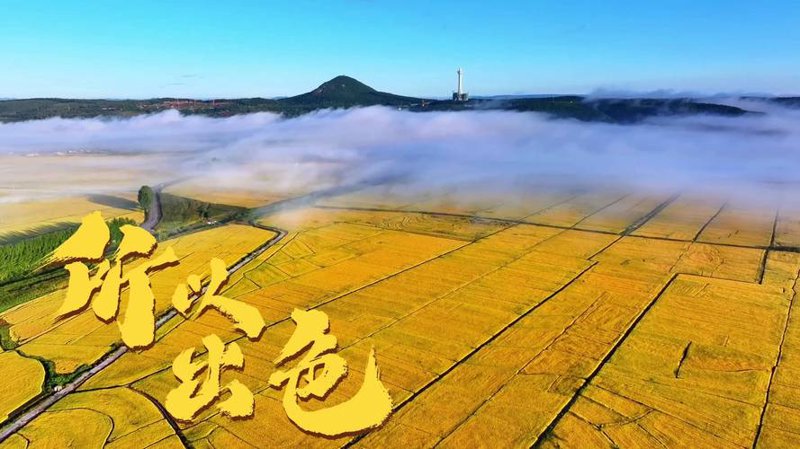 本家良田食品：让健康成为新风尚